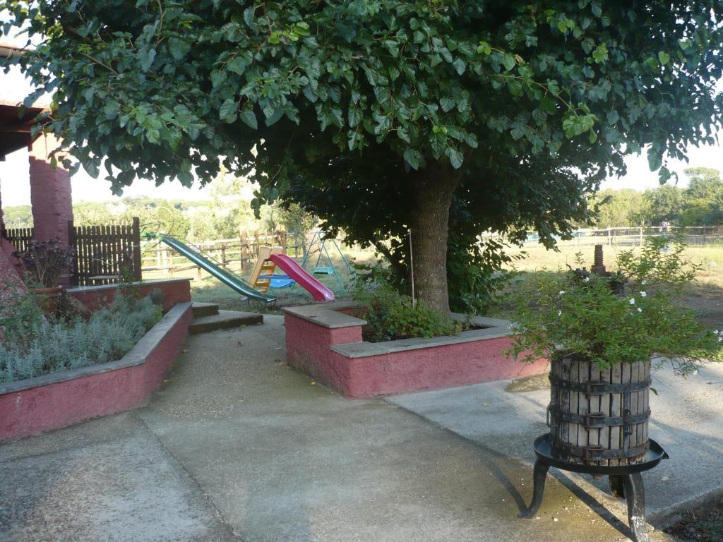 Il Baffetto Bed and breakfast Roma